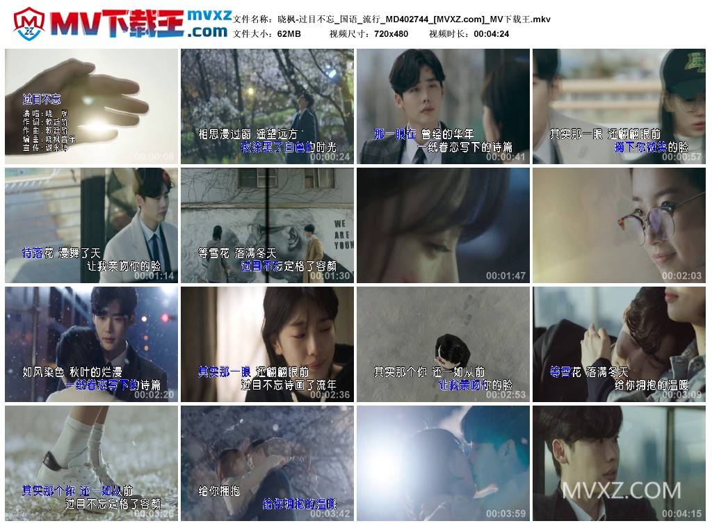 晓枫-过目不忘_国语_流行_MD402744